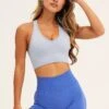 Blue Seamless Activewear Top