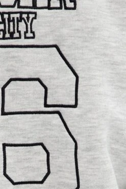 Grey Hoodie Zip Long Sleeve New York Embroidery -Modern Fashion Shop oj1853b 84m grey marle 7